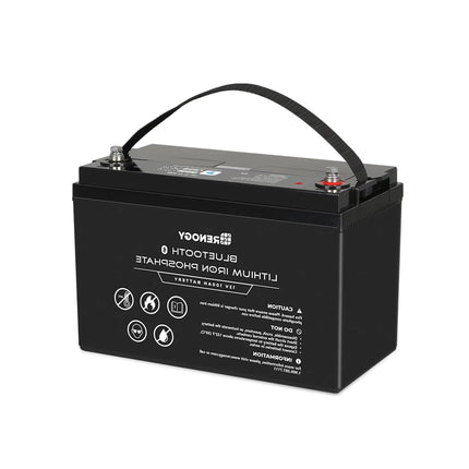 Renogy 12V 100Ah Lithium Iron Phosphate Battery with Bluetooth - Solar chargex