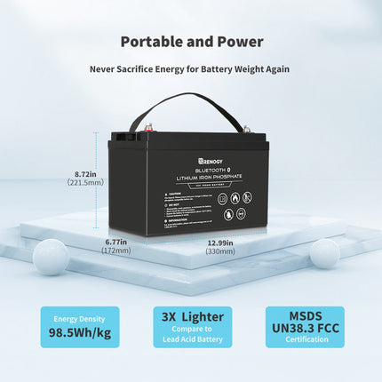 Renogy 12V 100Ah Lithium Iron Phosphate Battery with Bluetooth - Solar chargex