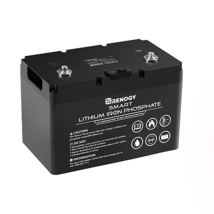 Renogy 2V 100Ah Smart Lithium Iron Phosphate Battery with Self-Heating Function - Solar chargex
